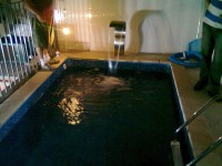 /album/galeria-de-fotos-pagina-inicial/imagem-031-jpg/